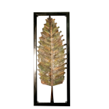 China Fir